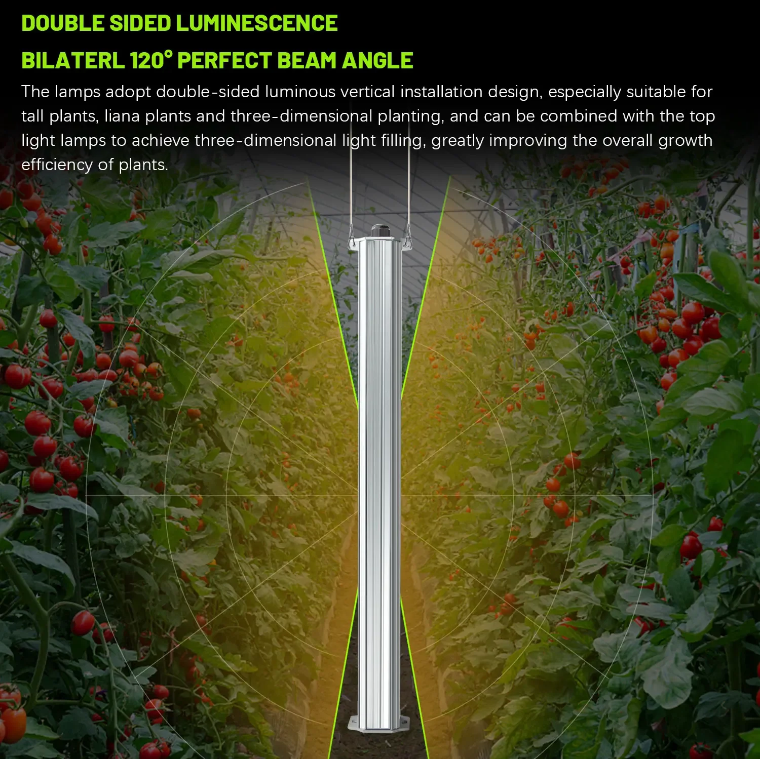 List Of Agriculture Farming - Mejor Sistema de Cultivo Vertical Hidropónico