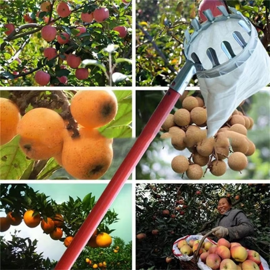 Recolector de frutas de hierro - Farming Agriculture Tools reseña y precio