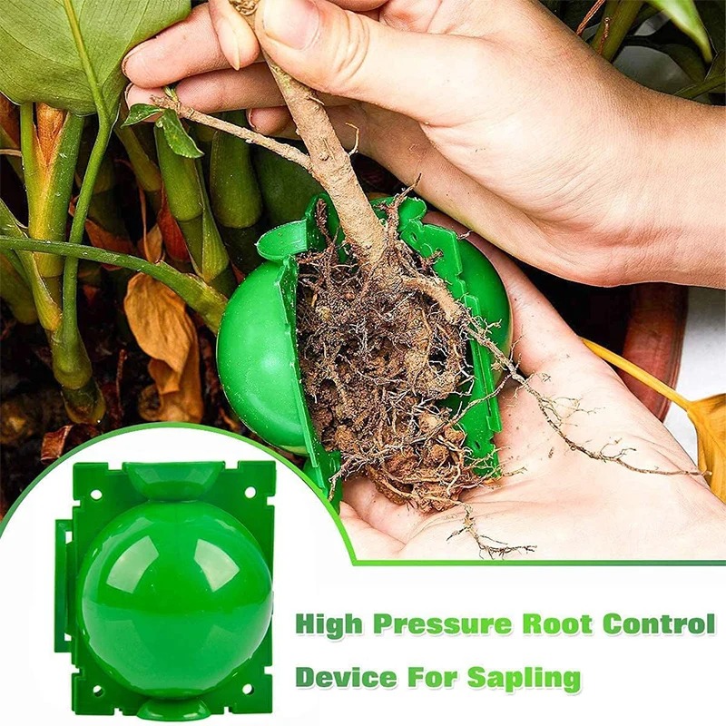 5/30 Piezas Bolas de Enraizami - Plant Growth Regulator reseña y precio