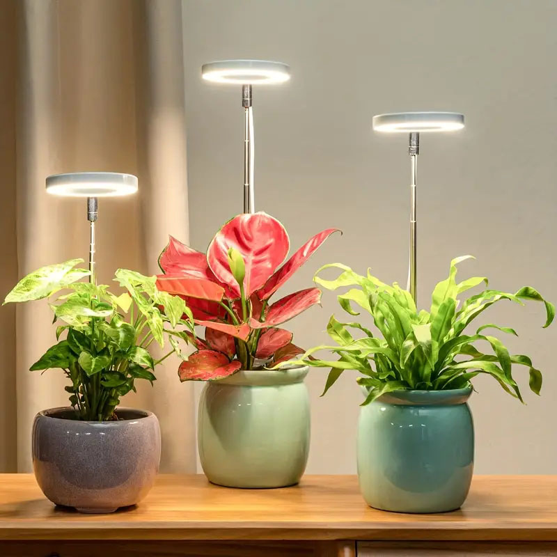 Luz LED de cultivo, lámpara de - Plant Growth Regulator reseña y precio
