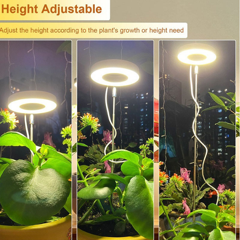 Luz LED de cultivo, lámpara de - Plant Growth Regulator reseña y precio