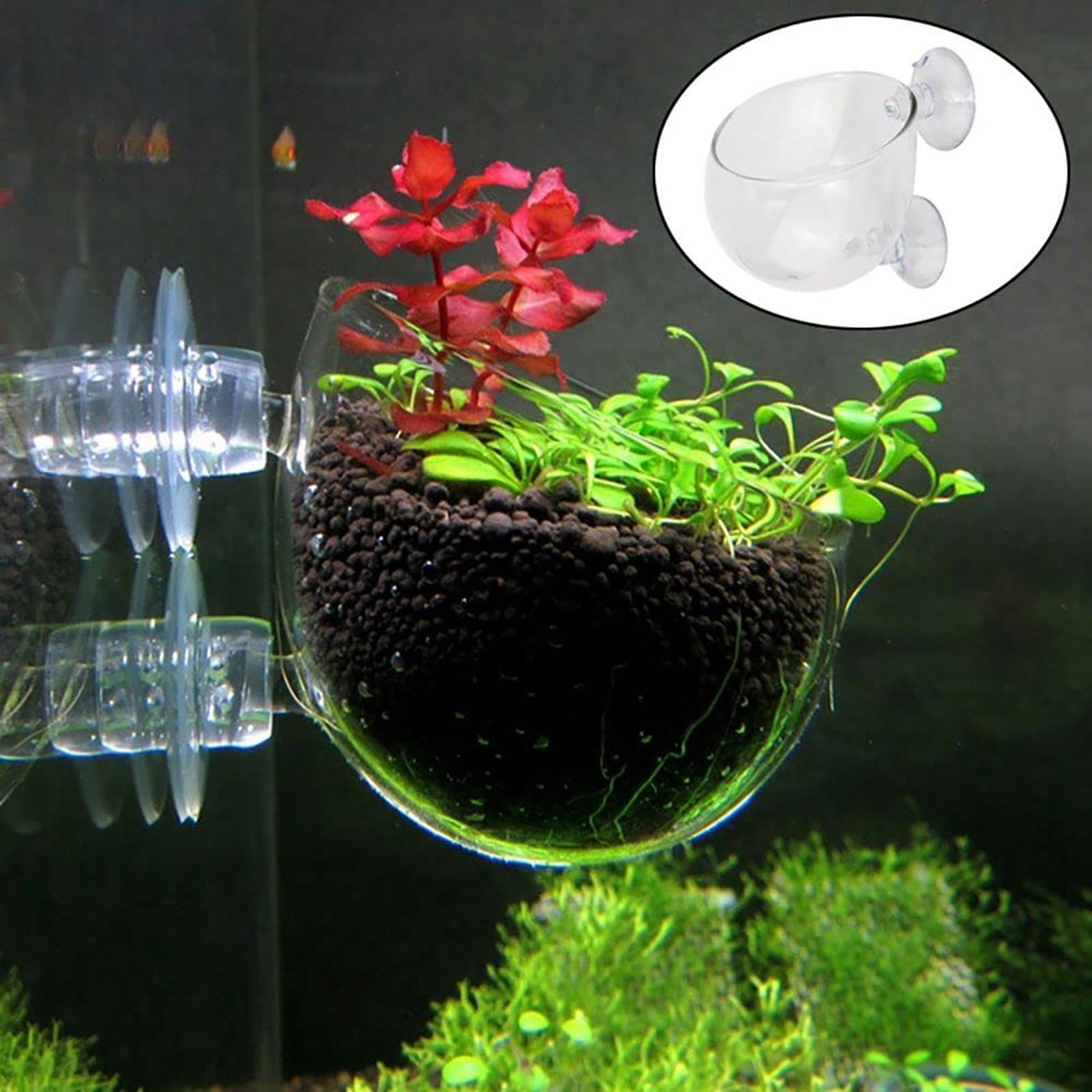 Maceta para plantas acuáticas, - Plant Growth Regulator reseña y precio