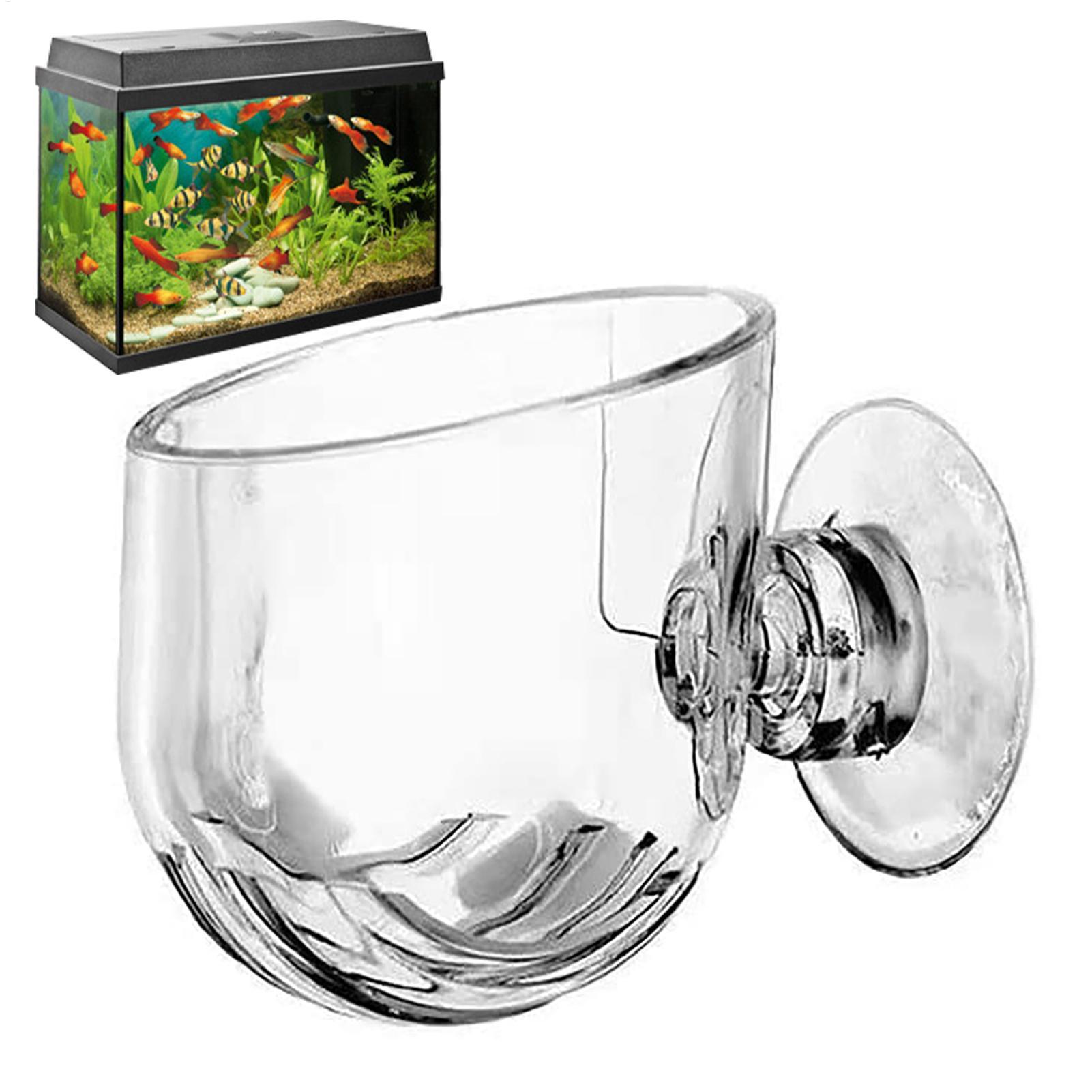 Maceta para plantas acuáticas, - Plant Growth Regulator reseña y precio