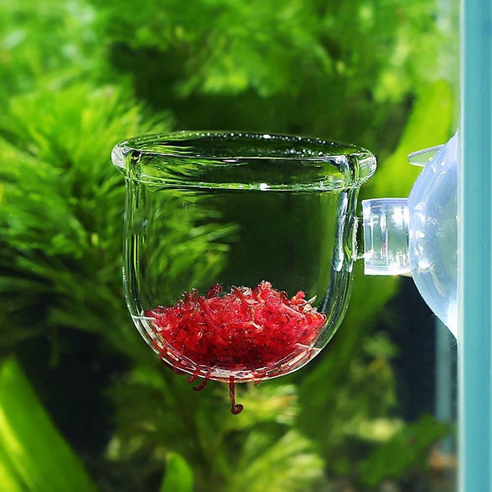 Maceta para plantas acuáticas, - Plant Growth Regulator reseña y precio