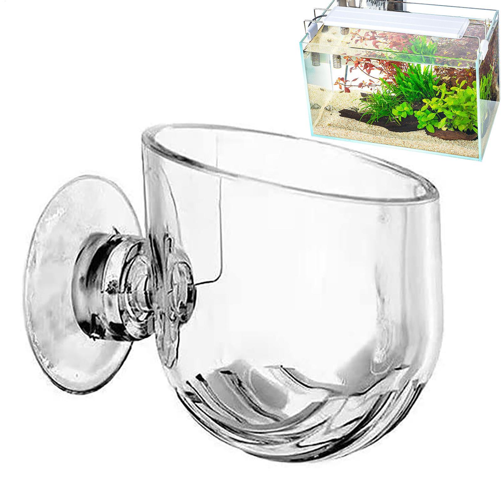 Maceta Acrílica para Plantas A - Plant Growth Regulator reseña y precio