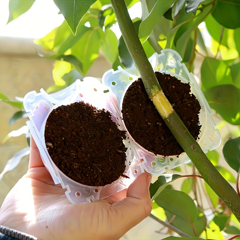 Juego de 10 Cajas para Propaga - Plant Growth Regulator reseña y precio