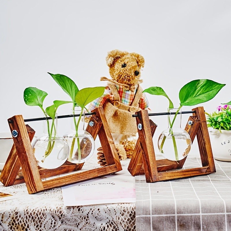 Maceta de vidrio de mesa, esta - Plant Growth Regulator reseña y precio